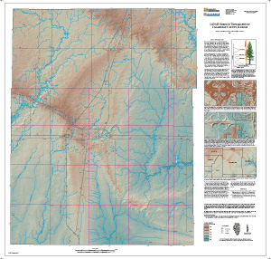 LiDAR Surface Topography of Champaign County